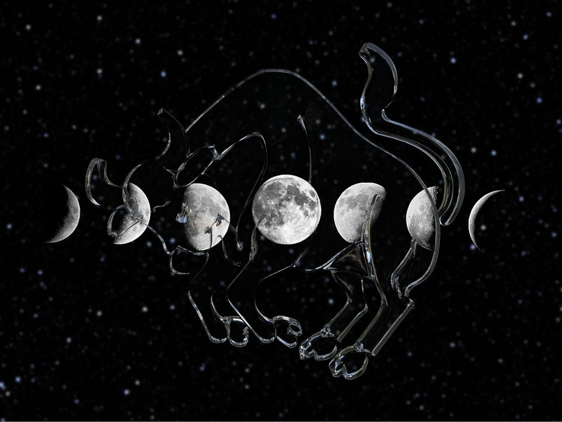 Full Moon Lunar Eclipse in Taurus - The Universe’s Way of Clearing the Decks!